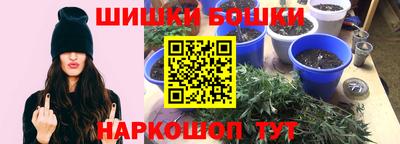 стафф Дубна