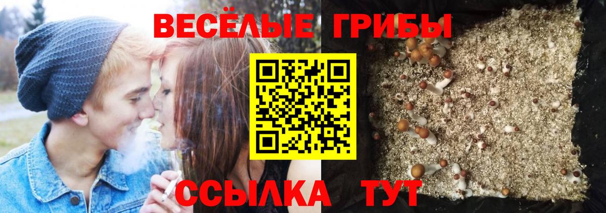 Галлюциногенные грибы GOLDEN TEACHER Набережные Челны