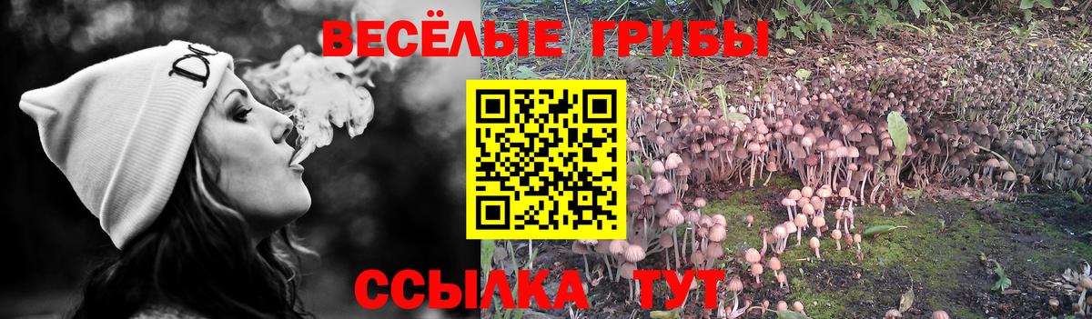 продажа наркотиков  Псилоцибиновые грибы ЛСД  Вход с VPN  Набережные Челны 